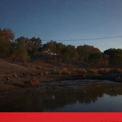 Calor extremo mata 540 mil pessoas por ano, alerta OMS