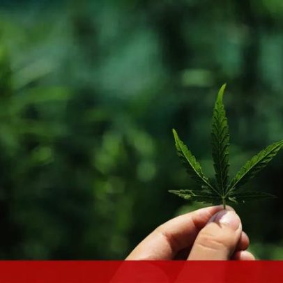 Traficante de Santarém usa camiões para espalhar droga pela Europa