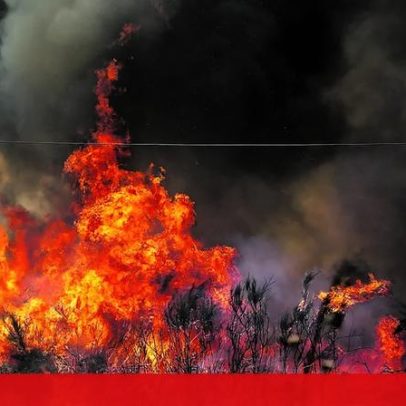 OCDE aponta falhas de coordenação em fogos de 2024 e 2025