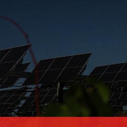 Associação Zero opõe-se ao projeto da central fotovoltaica Sophia