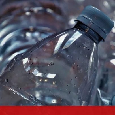 CE quer substituir plástico por alternativa de base biológica