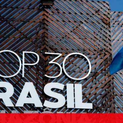 WWF Portugal lamenta queda de objetivos centrais da COP30