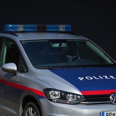 Corpos de mãe e filho desaparecidos encontrados em congeladores na Áustria