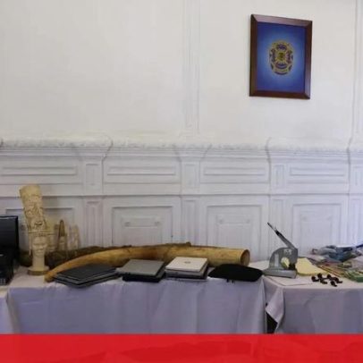 Funcionárias suspensas na USF por inscreverem 10 mil imigrantes ilegais no SNS