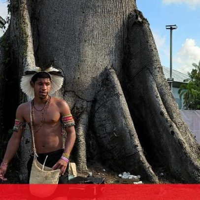 Indígenas pressionam pela definição de floresta em COP sem acordo
