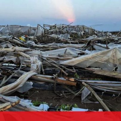 Tornado destrói metade da produção de citrinos numa empresa de Lagoa