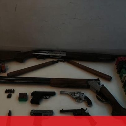 Homem de 71 anos detido por matar cavalo a tiro em Braga