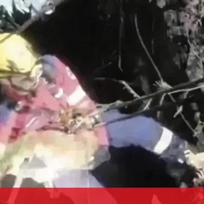 Bombeiros resgatam cão de poço em Gondomar