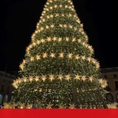 Pinheiro de Natal ilumina Praça do Comércio, em Lisboa