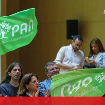 PAN concede voto livre na primeira volta das eleições presidenciais