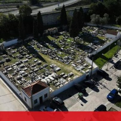Medicina Legal realiza perícias em corpos profanados em cemitério