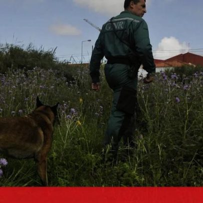 Buscas em Arraiolos pela mulher desaparecida continuam