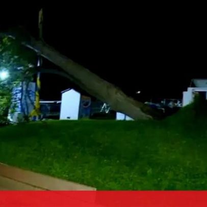 Vento persiste, provoca árvores tombadas e esplanadas destruídas em Olhão