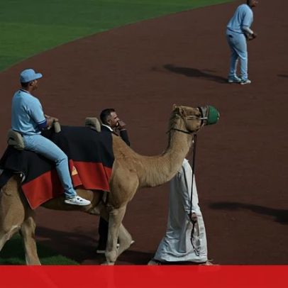 Liga de beisebol no Dubai inicia com novas regras e camelos
