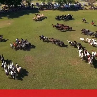 Cavalos e património marcam o Dia da Tradição na Argentina