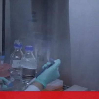 Empresas em Portugal crescem ao imitar sabor de peixe em laboratório