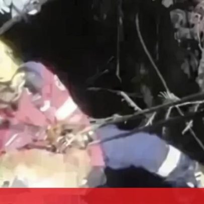 Bombeiros salvam cão de poço em Gondomar