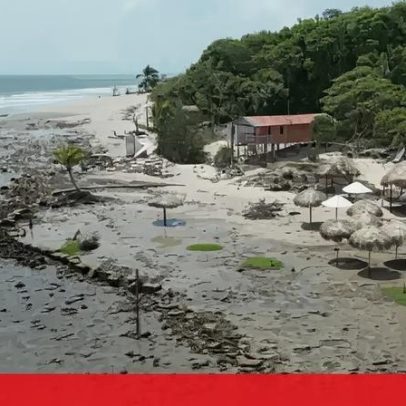 Amazónia, sede da COP30, enfrenta destruição devido ao avanço do mar