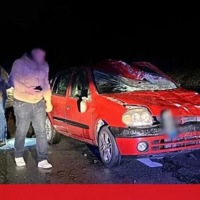 Carro colide com dois cavalos na EN105, em Santo Tirso