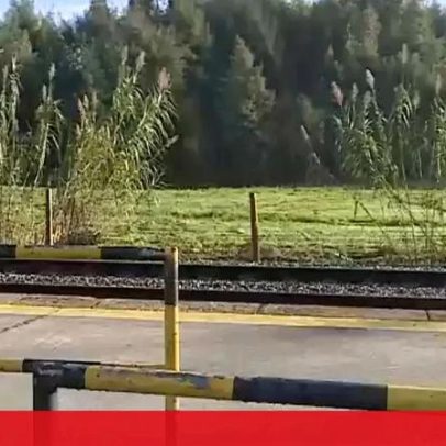 Circulação normalizada após atropelamento mortal na Linha do Minho