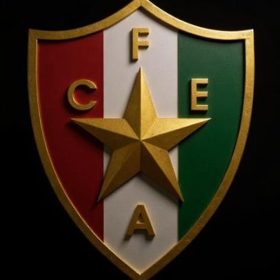 Rodolfo Laranjo cessa funções de vice-presidente no Estrela