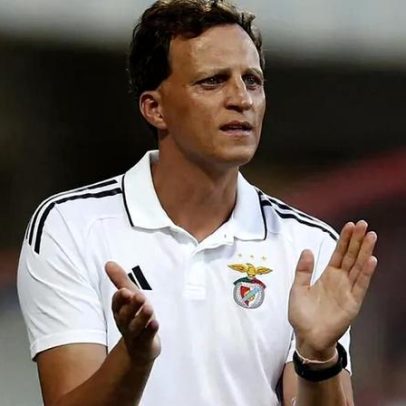 Vítor Vinha realça importância da Youth League para preparar o futuro do Benfica