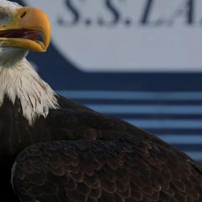 Lazio apresenta nova águia, dez meses após polémica com prótese de Juan Bernabé