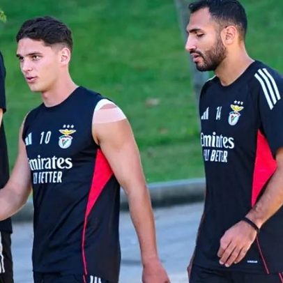 Sudakov e Pavlidis recuperam-se e Benfica prepara-se para a Liga dos Campeões