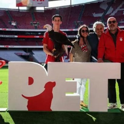 Benfica lança o Benfica Pet, abrindo espaço oficial para animais de estimação