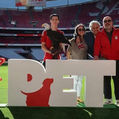 Benfica lança Benfica Pet com lugar oficial para animais de estimação