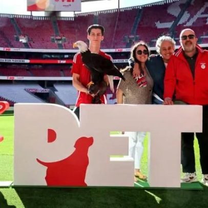 Benfica cria espaço oficial para animais de estimação da família encarnada
