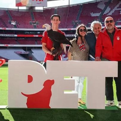 Benfica lança Benfica Pet: animais de estimação ganham lugar oficial no clube