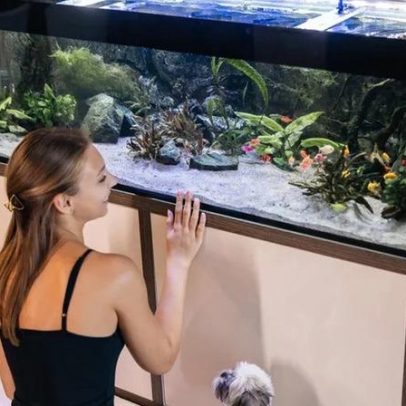 5 vantagens de ter peixes como animais de estimação