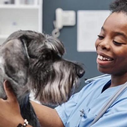 Check-up: 7 sinais de alerta para observar no seu animal de estimação