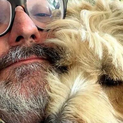 Cadela Chiclete pode visitar Nuno Markl no hospital?