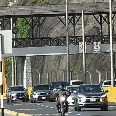 Adepto do Palmeiras morre em autocarro após colisão com ponte
