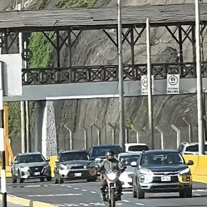 Adepto do Palmeiras morre em autocarro ao bater com a cabeça em ponte