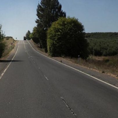 OE2026: PCP apresenta propostas de investimento para o distrito de Beja