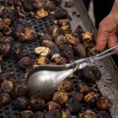 Magusto da Maior Idade realiza-se nesta sexta-feira em Ílhavo
