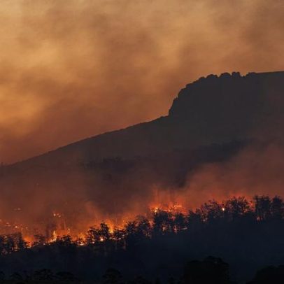 Voluntários mobilizam-se para reflorestação na Serra do Alvão
