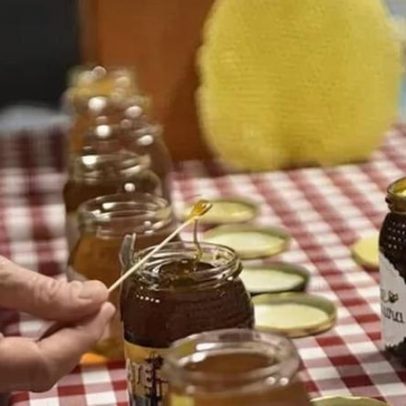 Mértola recebe Feira Nacional do Mel e Fórum de Apicultura até domingo
