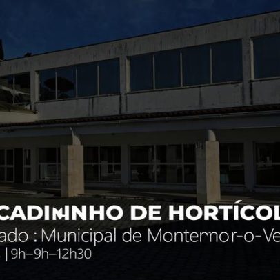 Mercadinho de Hortícolas muda-se para o Mercado Municipal de Montemor-o-Velho