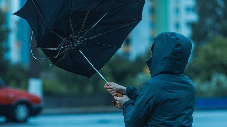 Depressão Cláudia regista quase 1300 ocorrências: quedas de árvores e estruturas