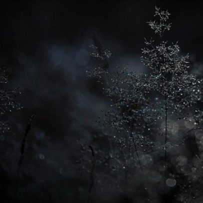 Dezembro traz frio intenso, com chuva e neve