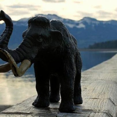 RNA mais antigo do mundo encontrado em mamute-lanoso de 40 mil anos