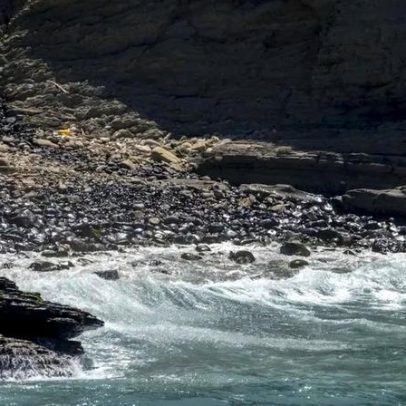 Derrame de hidrocarbonetos em Valado de Frades é investigado pela APA