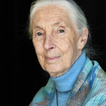 AWS digitaliza seis décadas de investigação de Jane Goodall