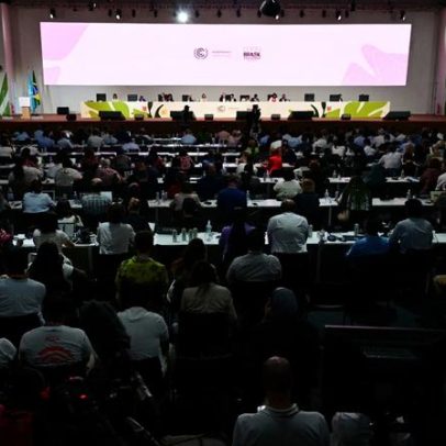 COP30: Ecologistas classificam acordo como decepcionante