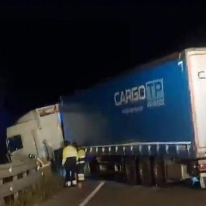 Cão atravessa autoestrada na Espanha e provoca colisão entre pesado e carro