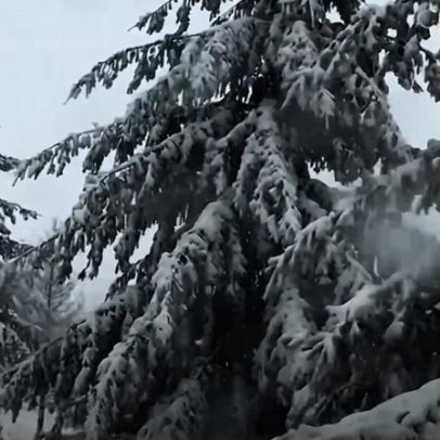 Queda de neve regressa à Serra da Estrela no início de Dezembro